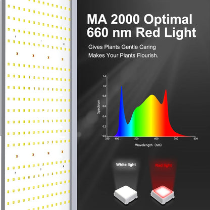 200W Quantum Board Grow Light (Panel) Clone/Seedling