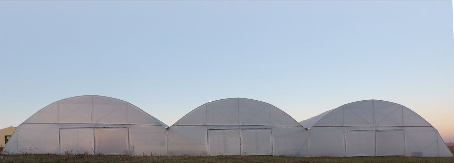 Commercial Greenhouse Multispan Tunnel