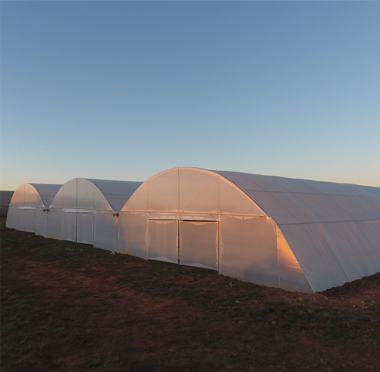 Commercial Greenhouse Multispan Tunnel