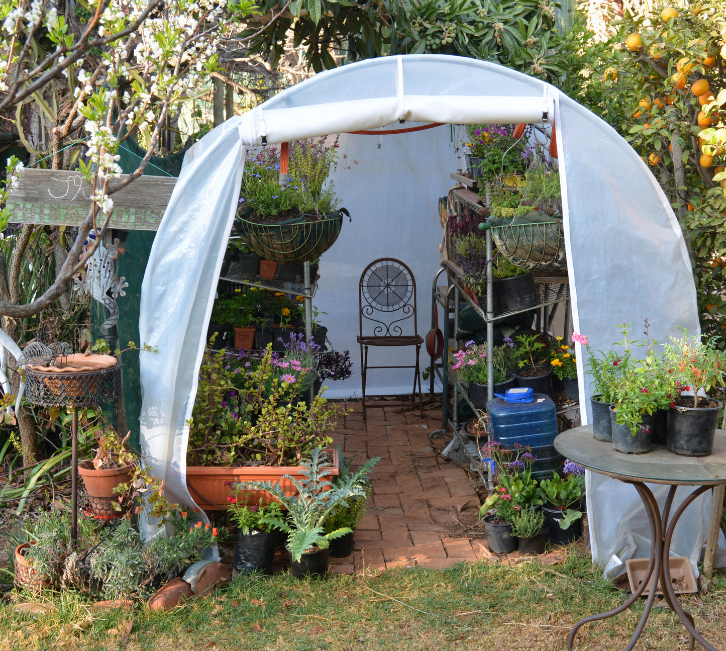 Greenhouse Tunnel - 3m