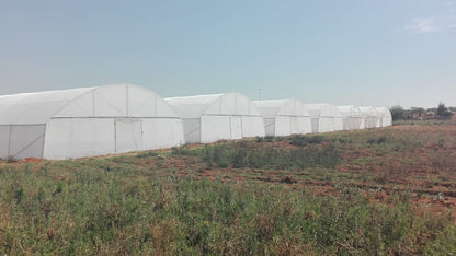 Commercial Greenhouse Tunnel 30.8m (Long) x 10.5m (Wide) x 4.1m (High)- Standard Structure