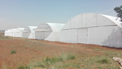 Commercial Greenhouse Tunnel 30.8m (Long) x 10.5m (Wide) x 4.1m (High)- Standard Structure