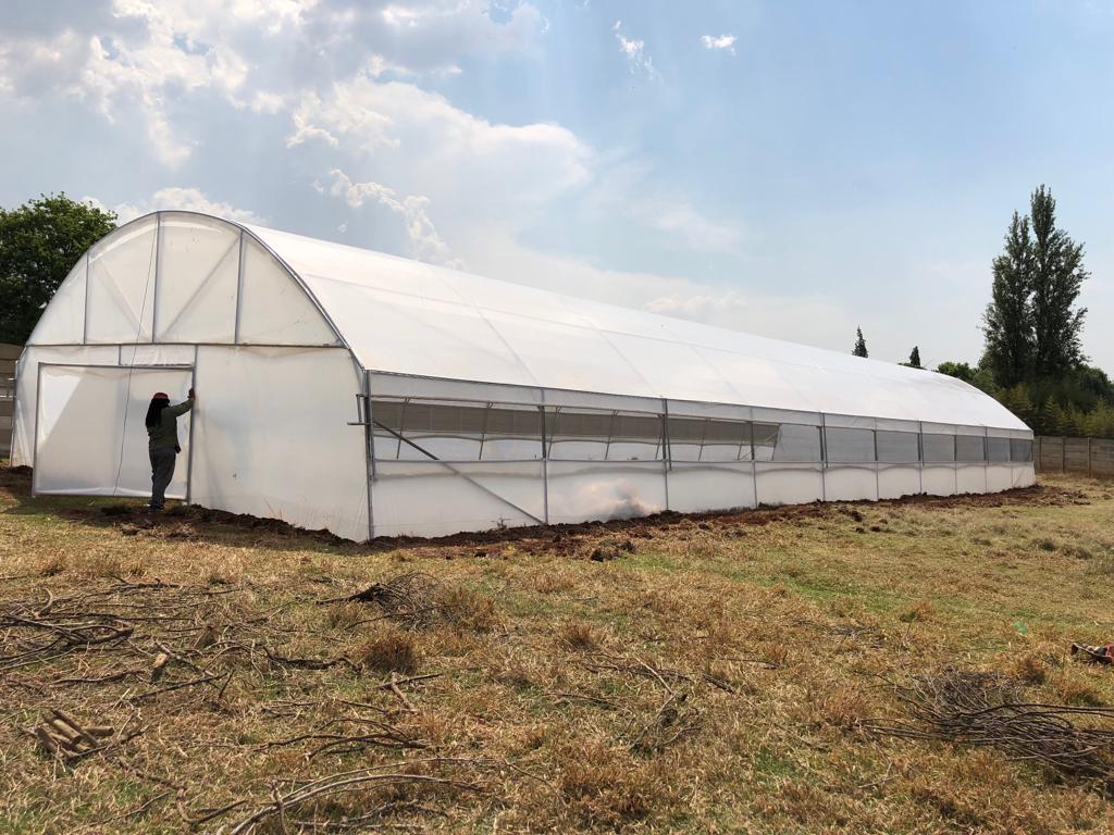 Commercial Greenhouse Tunnel With Roll-Up sides