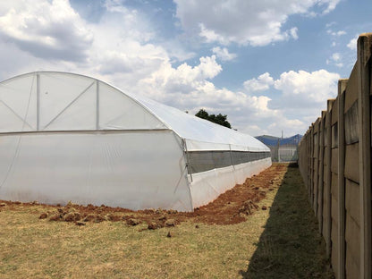 Commercial Greenhouse Tunnel With Roll-Up sides