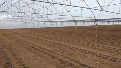 Commercial Greenhouse Multispan Tunnel