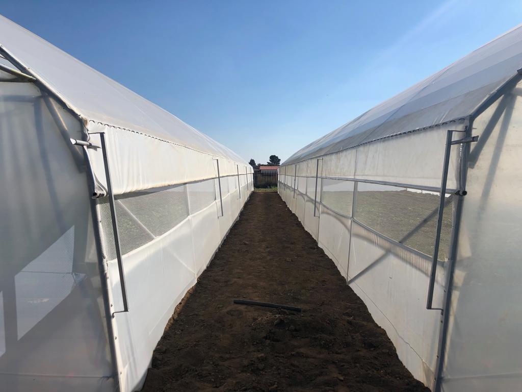 Commercial Greenhouse Tunnel With Roll-Up sides