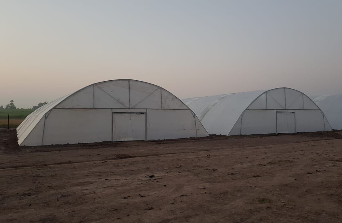 Commercial Greenhouse Tunnel With Wind Support