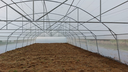 Commercial Greenhouse Tunnel With Roll-Up sides