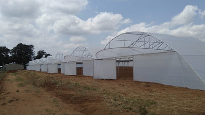 Commercial Greenhouse Tunnel With Wind Support